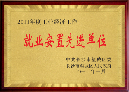 就業(yè)安置先進單位